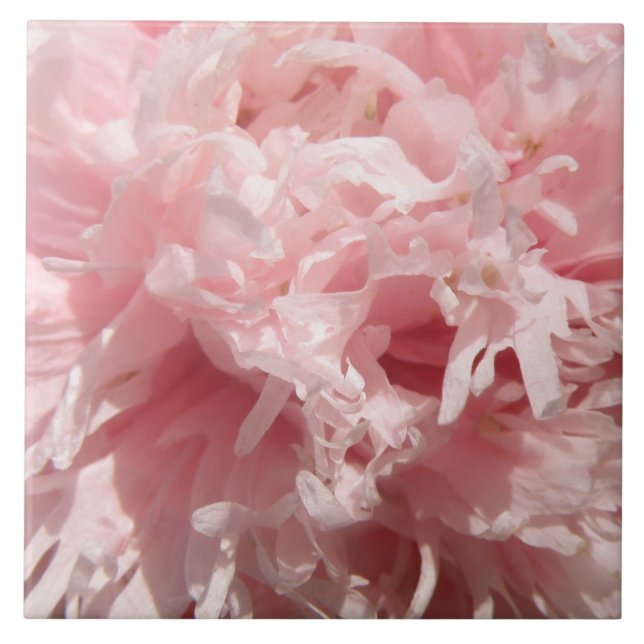 Hübsch Pink Poppe Tile Fliese (Vorderseite)