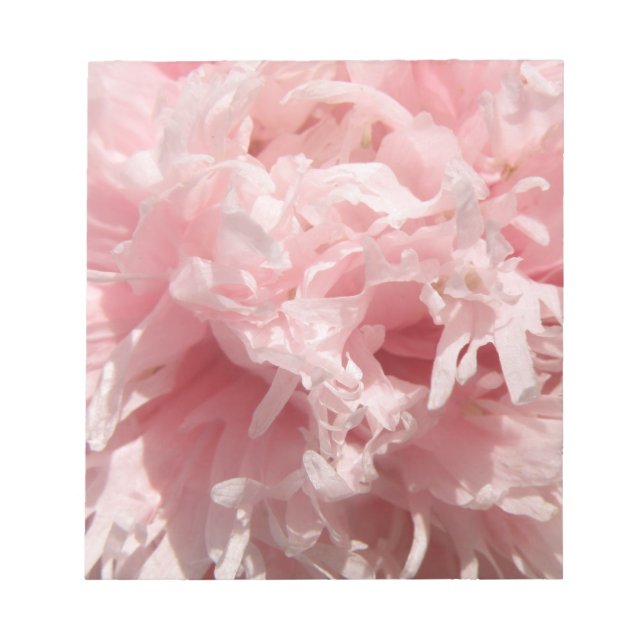 Hübsch Pink Poppy Notepad Notizblock (Vorderseite)
