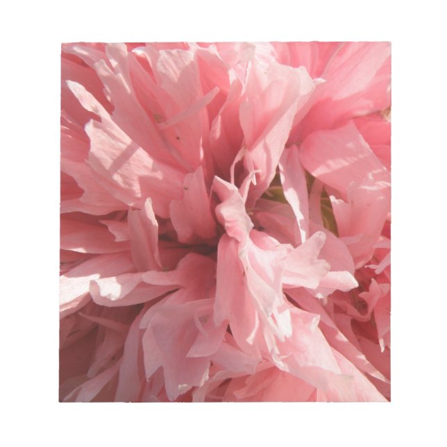 Hübsch Pink Poppy Notepad Notizblock (Vorderseite)