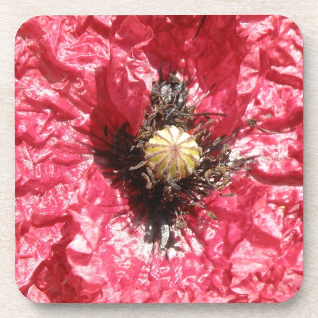 Hübsch Red Poppy Blume Macro Cork Untersetzer (Vorderseite)