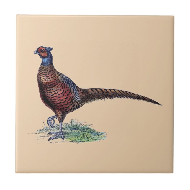 Hübsch Ring Neck Pheasant Tan Fliese (Vorderseite)