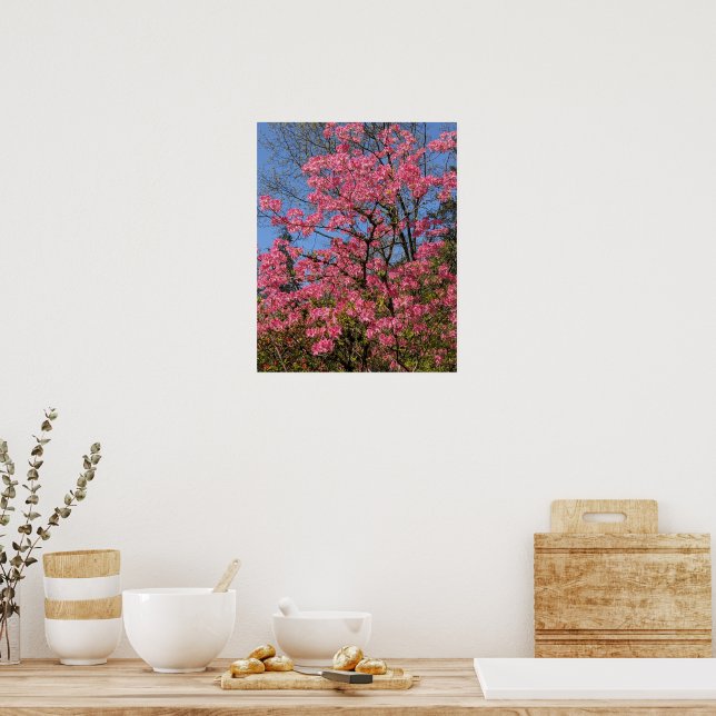 Hübsch rosa Azaleen Poster (Küche)