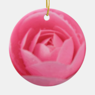 Hübsch Rosa Blume Cappella Santa Maria degli Angel Keramikornament