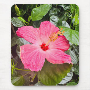 Hübsch rosa Hibiskus Mousepad