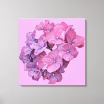 Hübsch-rosa Hydrangea Blume modern blumengeschmück
