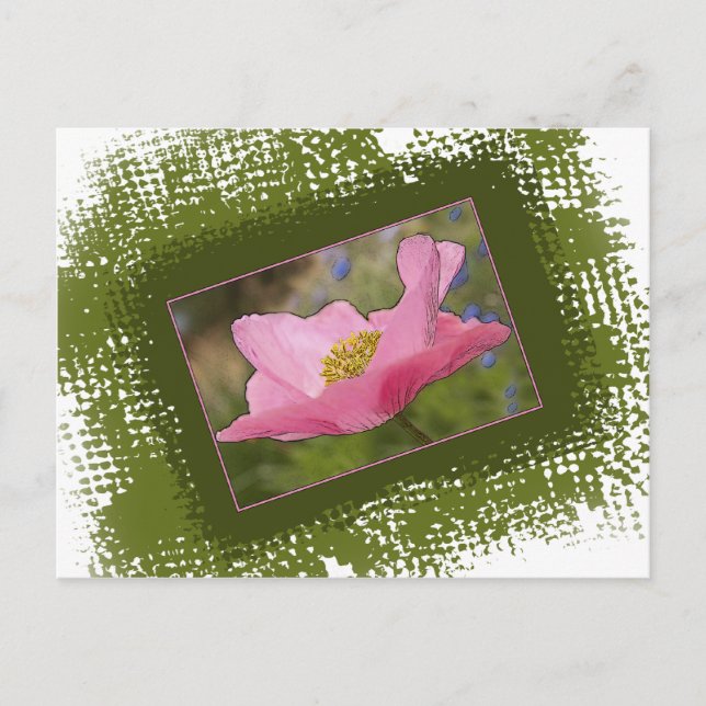 Hübsch-rosa-Mohnfotografie Postkarte (Vorderseite)