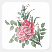 Hübsch rosa Nelke