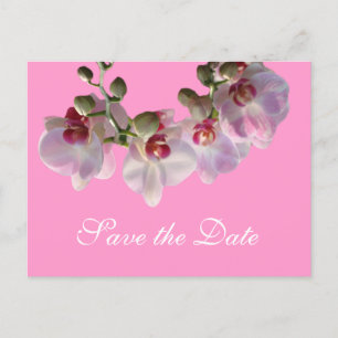 hübsch-rosa Orchideen-Blume Save the Date rosa Ankündigungspostkarte
