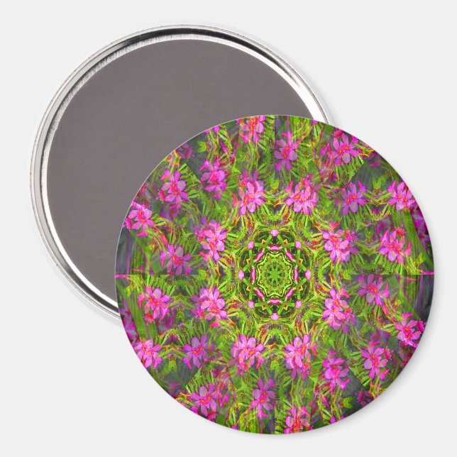 Hübsch rosa Phlox wirl... Magnet (Vorderseite/Rückseite)