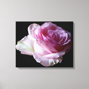 Hübsch rosa Rosa Blüten Moderne schlichte Eleganz Leinwanddruck