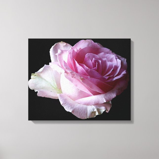 Hübsch rosa Rosa Blüten Moderne schlichte Eleganz Leinwanddruck (Vorderseite)