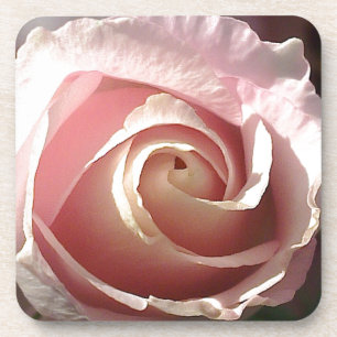 Hübsch rosa Rosa Untersetzer