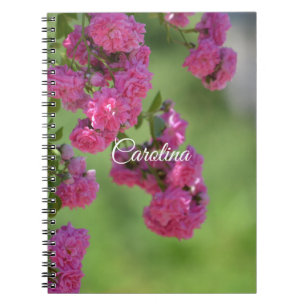 Hübsch rosa Rosen Notizblock