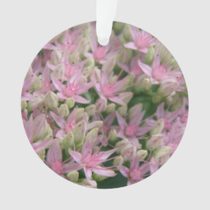 Hübsch rosa tropische Blume Akrylverzierung Ornament