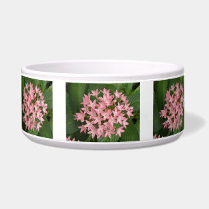 Hübsch rosa Tropische Blume Hundeschale Napf