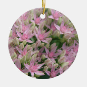 Hübsch rosa Tropische Blume Ornamente