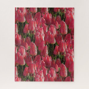Hübsch-rosa Tulips