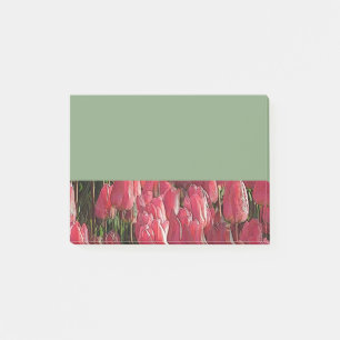 Hübsch-rosa Tulips Post-it Klebezettel