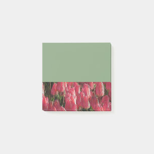 Hübsch-rosa Tulips Post-it Klebezettel