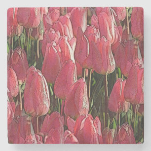 Hübsch-rosa Tulips Steinuntersetzer