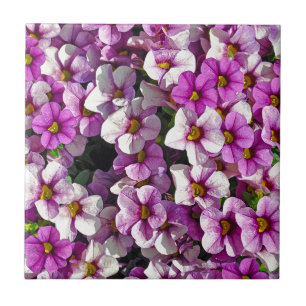 Hübsch rosa und lila Petunien Blumendruck Fliese