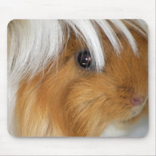 Hübsch, Tricolor, glatt, Guinea Schweinefass Mousepad