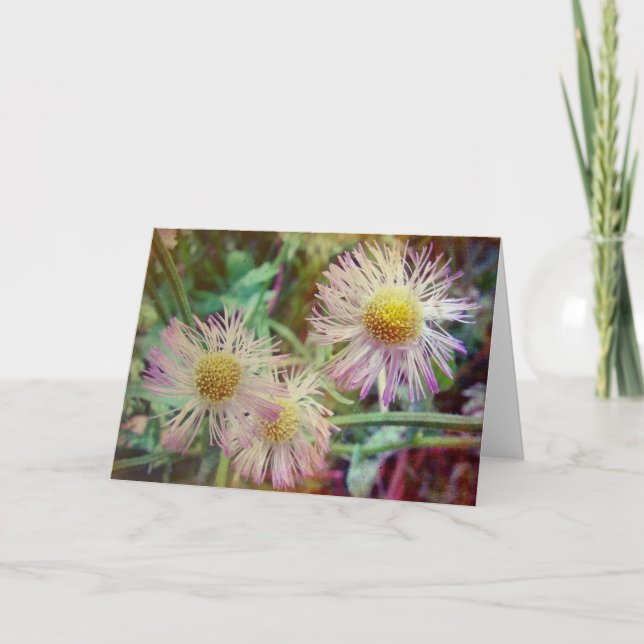 Hübsch und rosa karte (Vorderseite)