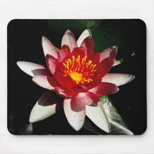 Hübsch und rosa mousepad (Vorne)