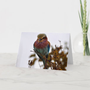 Hübsch und stolz karte