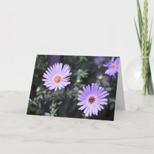 Hübsch-violette Blumen Original-Gartenfotografie Karte