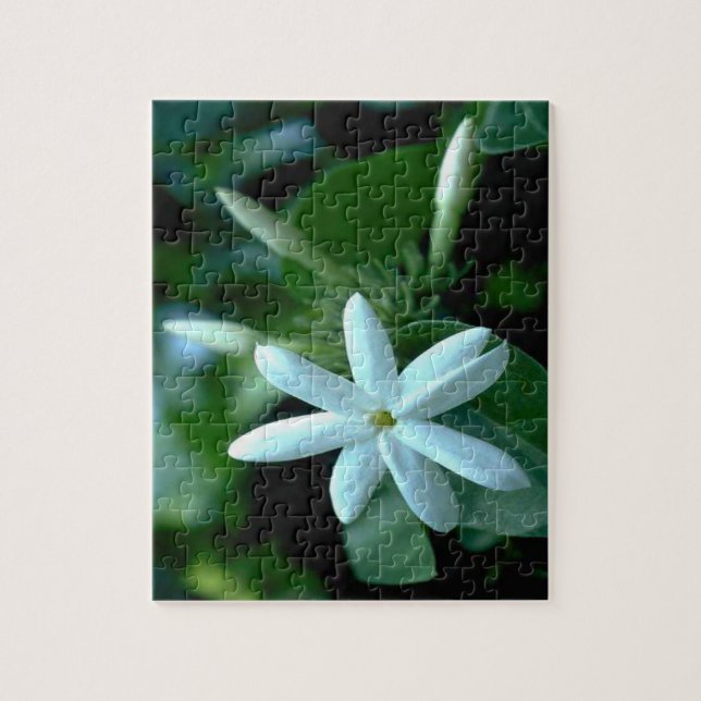Hübsch White Stephanotis Blume (Vertikal)