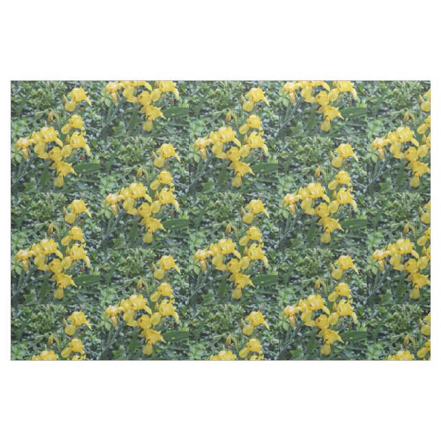 Hübsch Yellow Irises Garden Blume Stoff (Fat Quarter (45,7 x 55,9 cm))