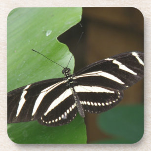 Hübsch Zebra Longwing Butterfly Cork Untersetzer
