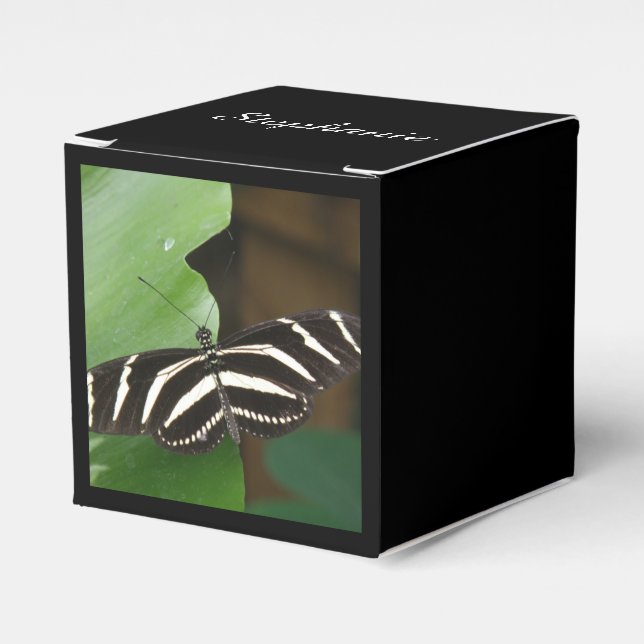 Hübsch Zebra Longwing Butterfly Custom Gevor Box Geschenkschachtel (Vorderseite)