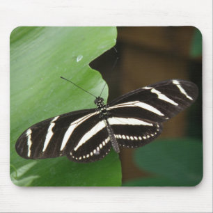 Hübsch Zebra Longwing Butterfly Mousepad