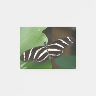 Hübsch Zebra Longwing Butterfly Post - Hinweise Post-it Klebezettel
