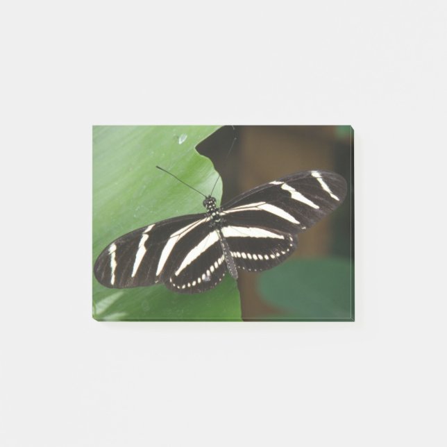 Hübsch Zebra Longwing Butterfly Post - Hinweise Post-it Klebezettel (Vorderseite)