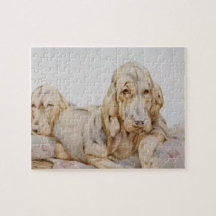 Hübsche alte Bloodhounds, Welpenhunde von EJ Detmo