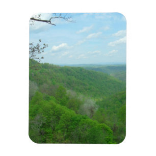 Hübsche appalachische Übersicht Magnet