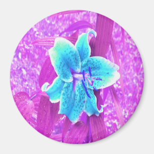Hübsche Aqua Blaue Stargazer Lilie auf Lila Magnet