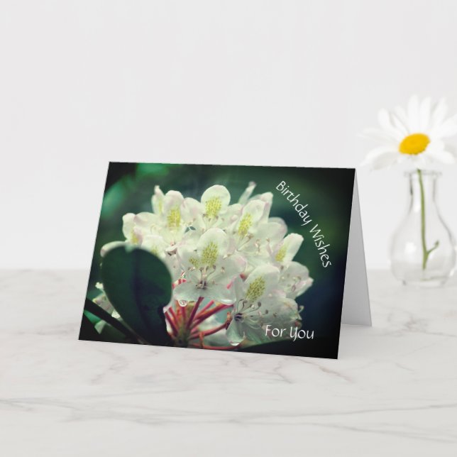 Hübsche Azalea Blume Personalisiert Geburtstag Karte (Kleine Pflanze)