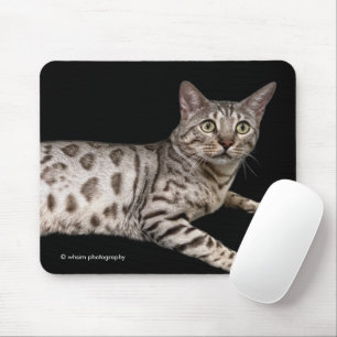 Hübsche Bengalkatze chillin' in der Eigentumswohnu Mousepad