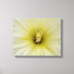 Hübsche, blasse Canvas Leinwanddruck