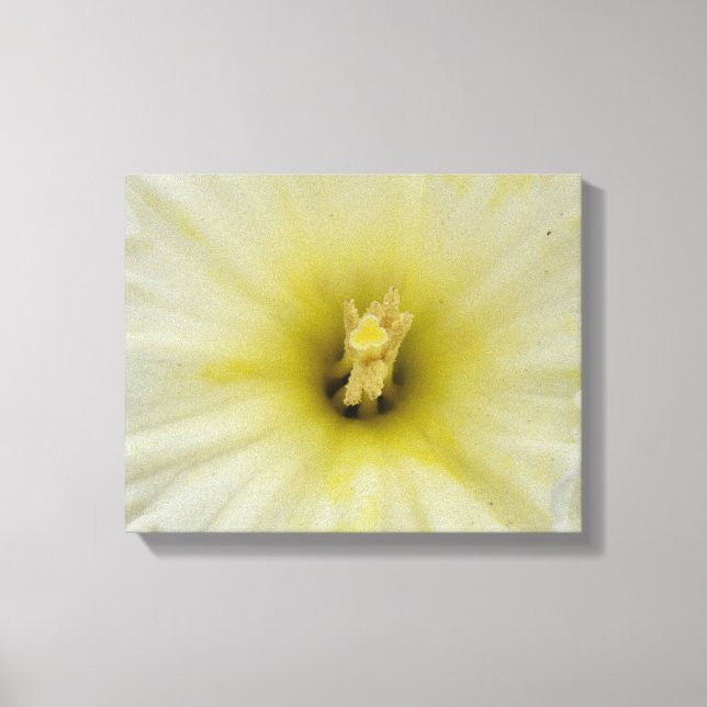 Hübsche, blasse Canvas Leinwanddruck (Vorderseite)