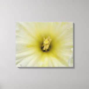 Hübsche, blasse Canvas Leinwanddruck