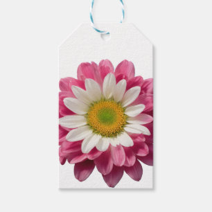 Hübsche blaue, rosa und weiße Blumen mit Streifen Geschenkanhänger
