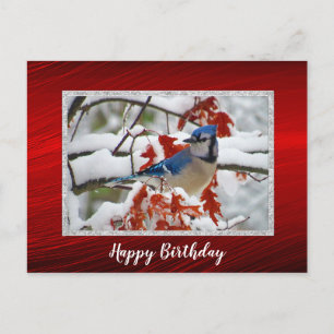 Hübsche Blauraben-Schnee-Foto-Geburtstag Postkarte