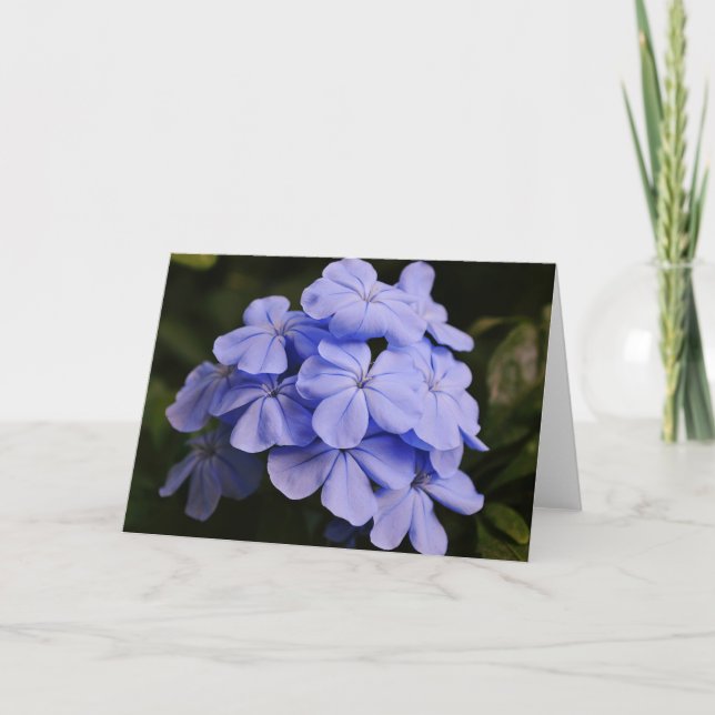 Hübsche Blue Tropical Blume - Note Card Karte (Vorderseite)