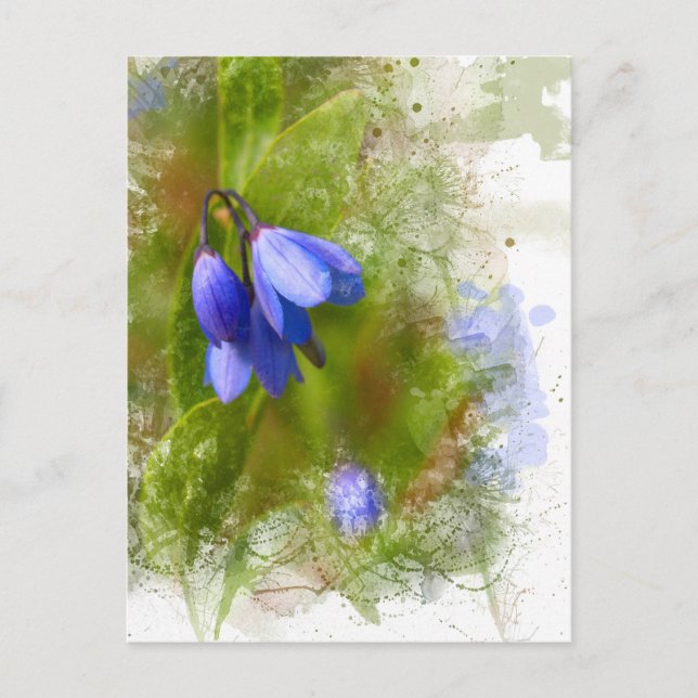 Hübsche Bluebells auf weiß Postkarte (Vorderseite)