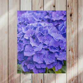Hübsche Bluish Lila Summer Hydrangeas